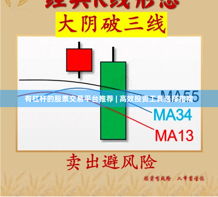 有杠杆的股票交易平台推荐 | 高效投资工具选择指南