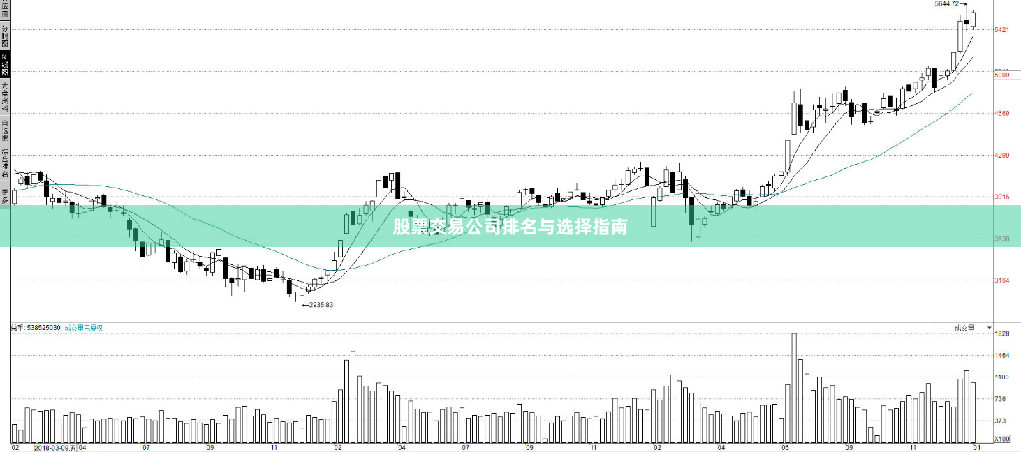 股票交易公司排名与选择指南
